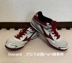 Mizuno スパイクシューズ シルバー/レッド　22.5センチ