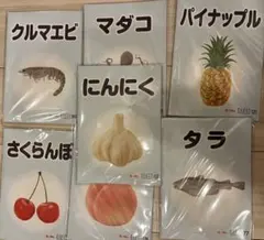 ベビーパーク ブックレット 24冊のサムネイル