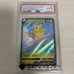 2026年最新】なみのりピカチュウ psa10の人気アイテム - メルカリ