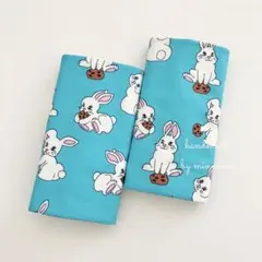 Item thumbnail for item e4367b0f-50ea-4399-b241-915bda004e5b