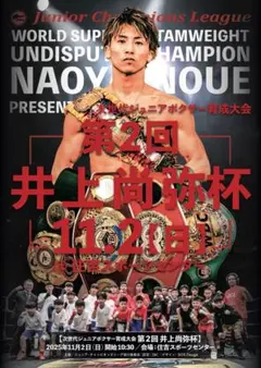 井上尚弥パンフレット Amazon.co.jp: 井上尚弥vsポール バトラー 試合パンフレットB1ポスター