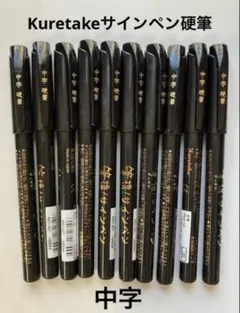 呉竹　筆ペン　筆携　サインペン　中字　硬筆　10本　まとめ売りのサムネイル