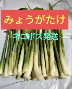 生コブミカンバイマックル30gー+生レモングラス200gセット。 - メルカリ