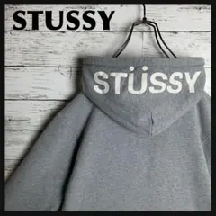 STUSSY◎フードロゴ 灰白 パーカー D363