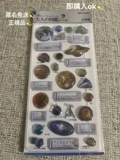 【正規品】3Dビジュアルコレクション　大人の図鑑シール 天体編