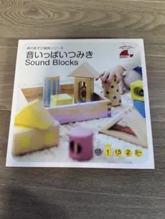 【未使用・新品・未開封】エドインター Edinter 音いっぱい積み木