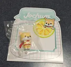 JOCHUM☆まめちぃ☆セット