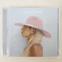 新品　未開封　レディーガガ　写真集　ツアーパンフレット　クリアファイル　ガガ 新品 未開封 レディーガガ 写真集 ツアーパンフレット クリアファイル ガガ