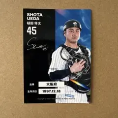 千葉ロッテマリーンズ 植田将太 リアルトレカ