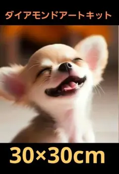 笑顔のクリーム色チワワ　ダイアモンドアートキット30×30cm