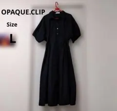 Item thumbnail for item 8bdf5c75-9e44-4c6b-9a41-152c4eeeac6b