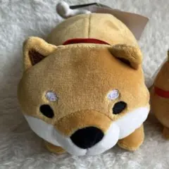 ゆずこた様 リクエスト 2点 まとめ商品