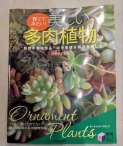 育ててみたい！美しい多肉植物　多肉植物