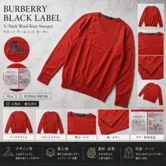 4227 BURBERRY BLACK LABEL Vネック ニット セーターのサムネイル