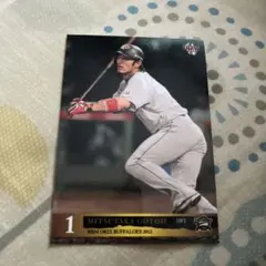 Item thumbnail for item e0082a6d-654d-4033-af21-ae88bd1840f7