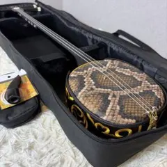 2026年最新】三味線 弦 セットの人気アイテム - メルカリ