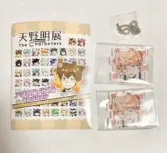 天野明展 REBORN リボーン アクリルパズル 正一