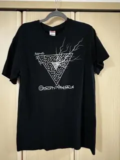 2025年最新】平沢進 グッズの人気アイテム - メルカリ