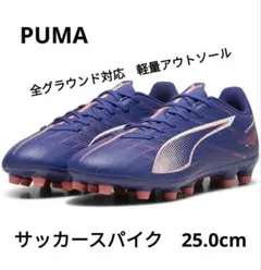 Item thumbnail for item 206bf989-aa55-4719-9d26-8382fe6ec22d