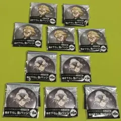 Dr.STONE ドクターストーン 缶バッジ　ゼノ　スタンリー 計10個セット