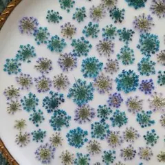 LIZ♡即購入OK♡プロフィール必読♡様 リクエスト 3点 まとめ商品