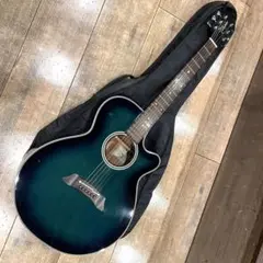 2026年最新】takamine pt 106の人気アイテム - メルカリ