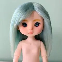 2025年最新】15cmセリアドールの人気アイテム - メルカリ