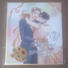 ビーボーイ35周年記念展 特典 色紙 ととふみ先生 - メルカリ