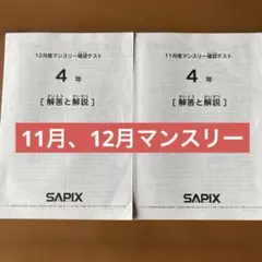 SAPIX 4年 11月、12月マンスリー確認テスト 原本