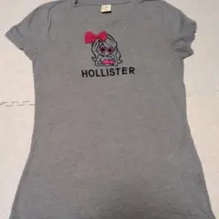 HOLLISTER 半袖Tシャツ グレーLサイズのサムネイル