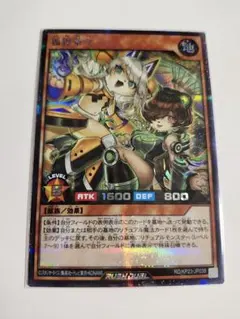 遊戯王　ラッシュデュエル　シークレット　狐狸茶々　こんぽんちゃちゃ