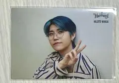 Mrs. GREEN APPLE Harmony 042 若井滉斗 フォトカード