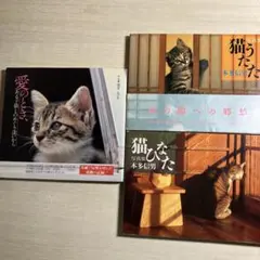 「愛のとき、ある子猫とのめぐり逢いから」「猫ひなた」「猫うたた」　３冊セット