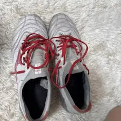 モレリアネオ4β 26.0 限定色