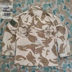 Item thumbnail for item 15e91094-1f07-47c5-af7d-a72d14c23ca9