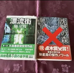 漂流街