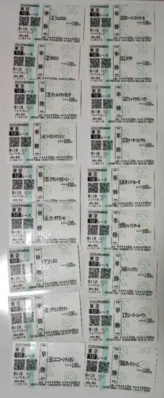 2020年 ジャパンカップ ３冠馬 現地単勝馬券 印字若干薄 2020年 ジャパンカップ 3冠馬 現地単勝馬券 印字若干薄
