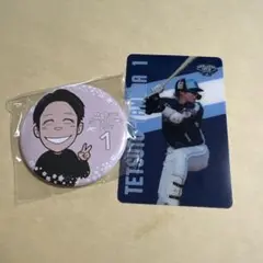 東京ヤクルトスワローズ山田哲人 缶バッチ&カード