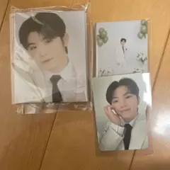 carat盤 ウジ　FML