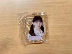 IVE レイ　ガチャガチャ　アクリルチャーム