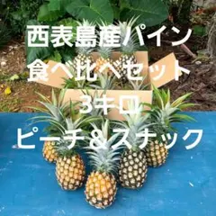 西表島産スナックパイン6キロ - メルカリ