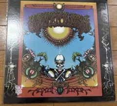 GRATEFUL DEAD WHAT A LONG ヴィンテージ - メルカリ