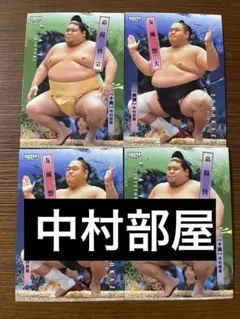 Item thumbnail for item 9c477b75-5b17-408c-96b7-3587f736af62