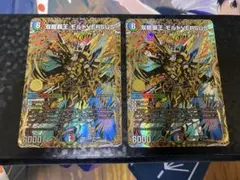DM シークレット 轟腕のRダグラジャパニカン 2枚セット - メルカリ