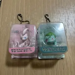 ポケモン ブリスターチャーム フシギダネ ミュウのサムネイル