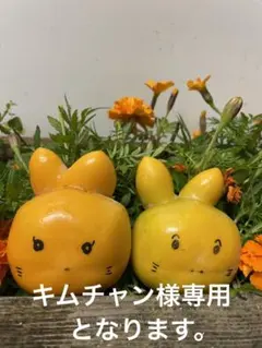 キムチャン様専用となります。