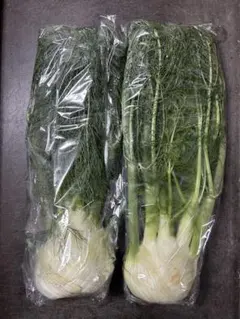 2026年最新】FENNEL（フェンネル）の人気アイテム - メルカリ