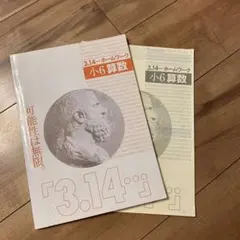 3.14ホームワーク 小6算数 2冊セット