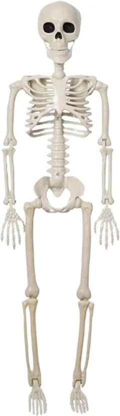 バラエティ本舗 骸骨 ガイコツ スカル ドクロ 40cm ハロウィン