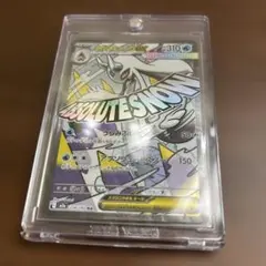 『超美品』メガユキメノコ　ex MA